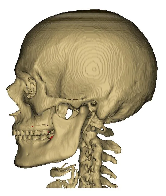 ADD4BIO medikal mühendislik modeli