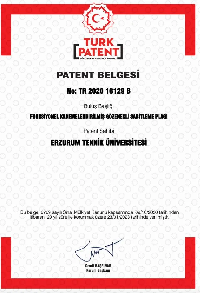 Patent 3